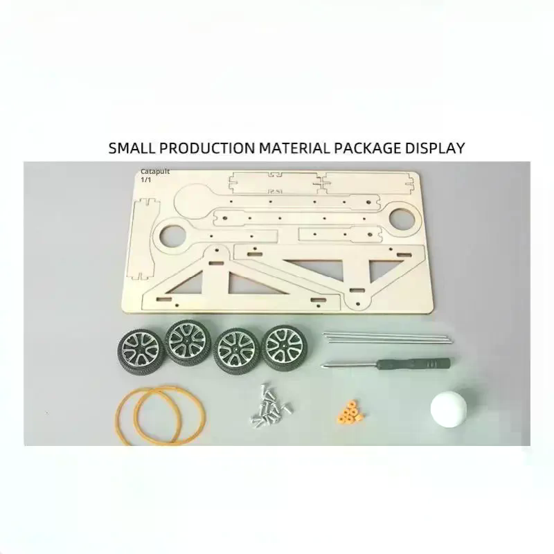 1 Set DIY Science Experiment K - Science Project Physics 评论和价格
