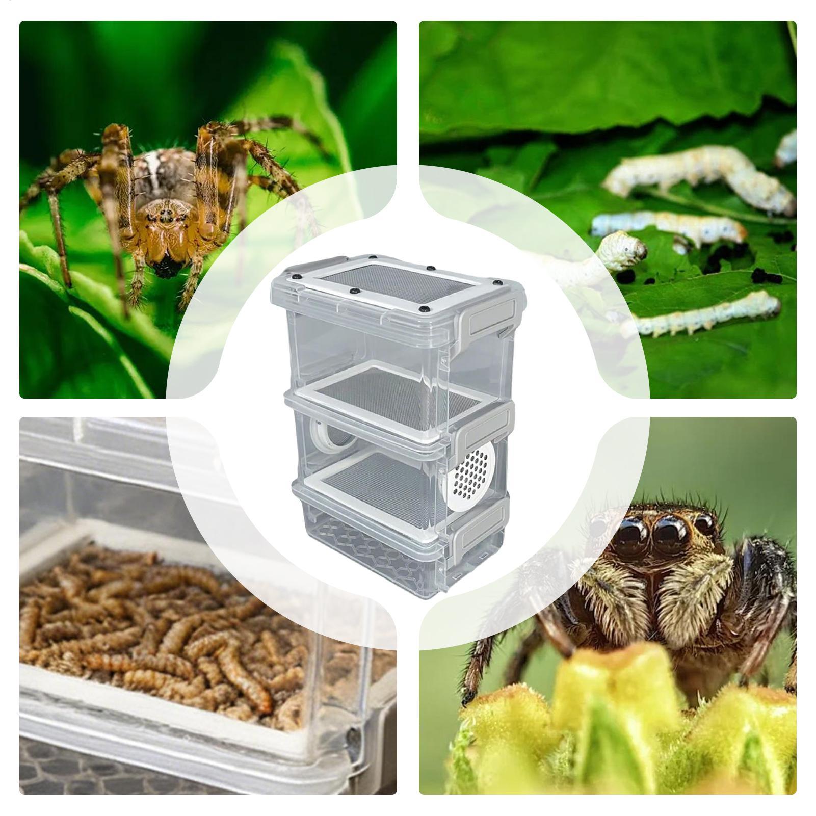 Mealworm Breeding Kit 3-Layer  - Science Hobbyist 评论和价格