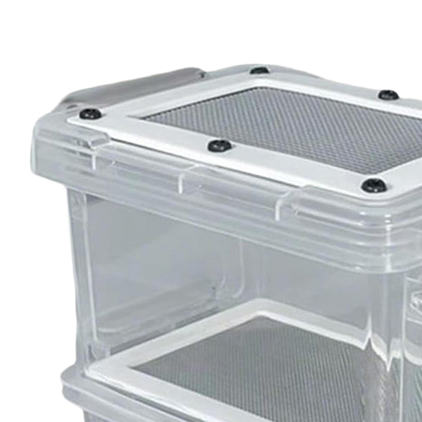 Mealworm Breeding Kit 3-Layer  - Science Hobbyist 评论和价格