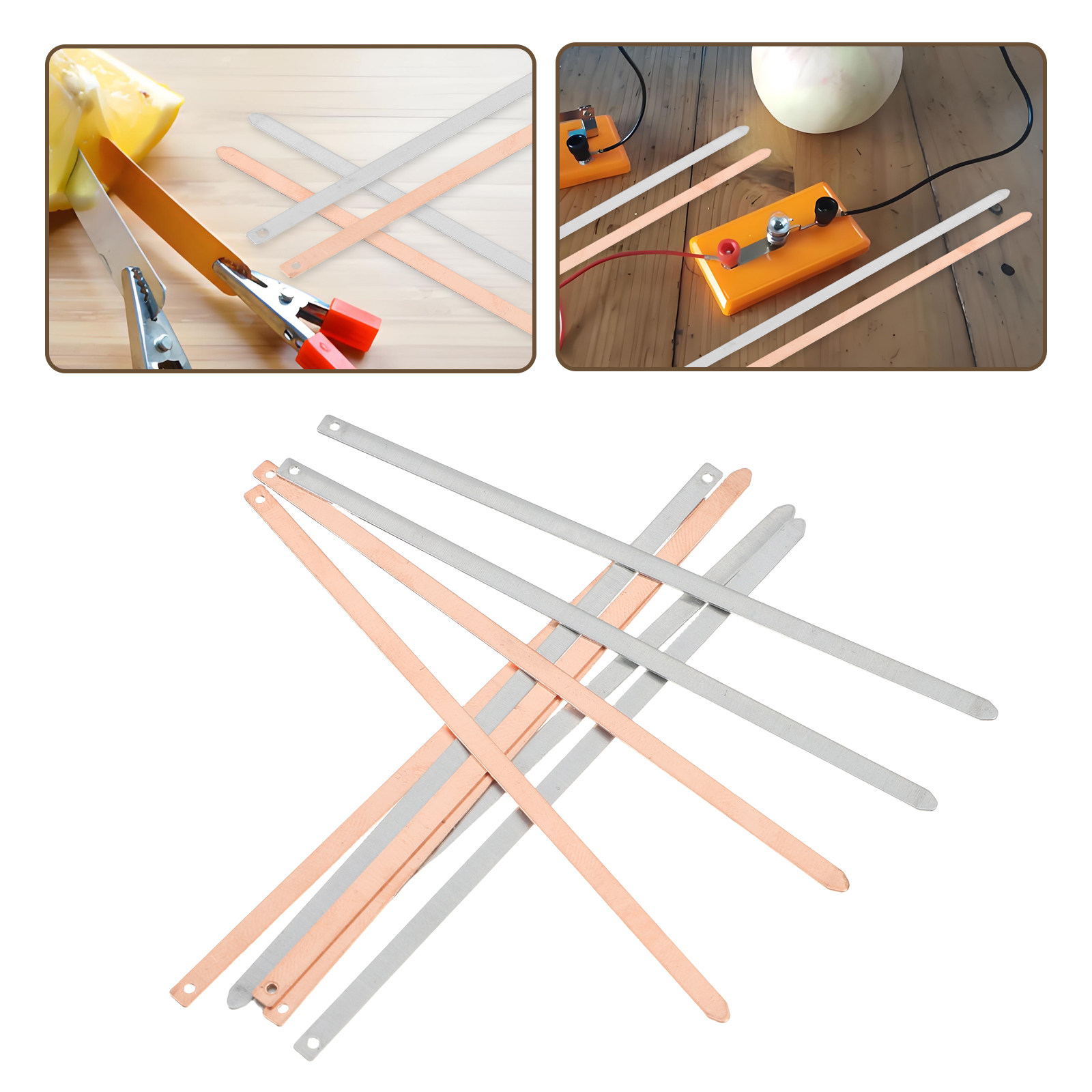 20Pcs Educational Fruit Batter - Science Project Physics 评论和价格