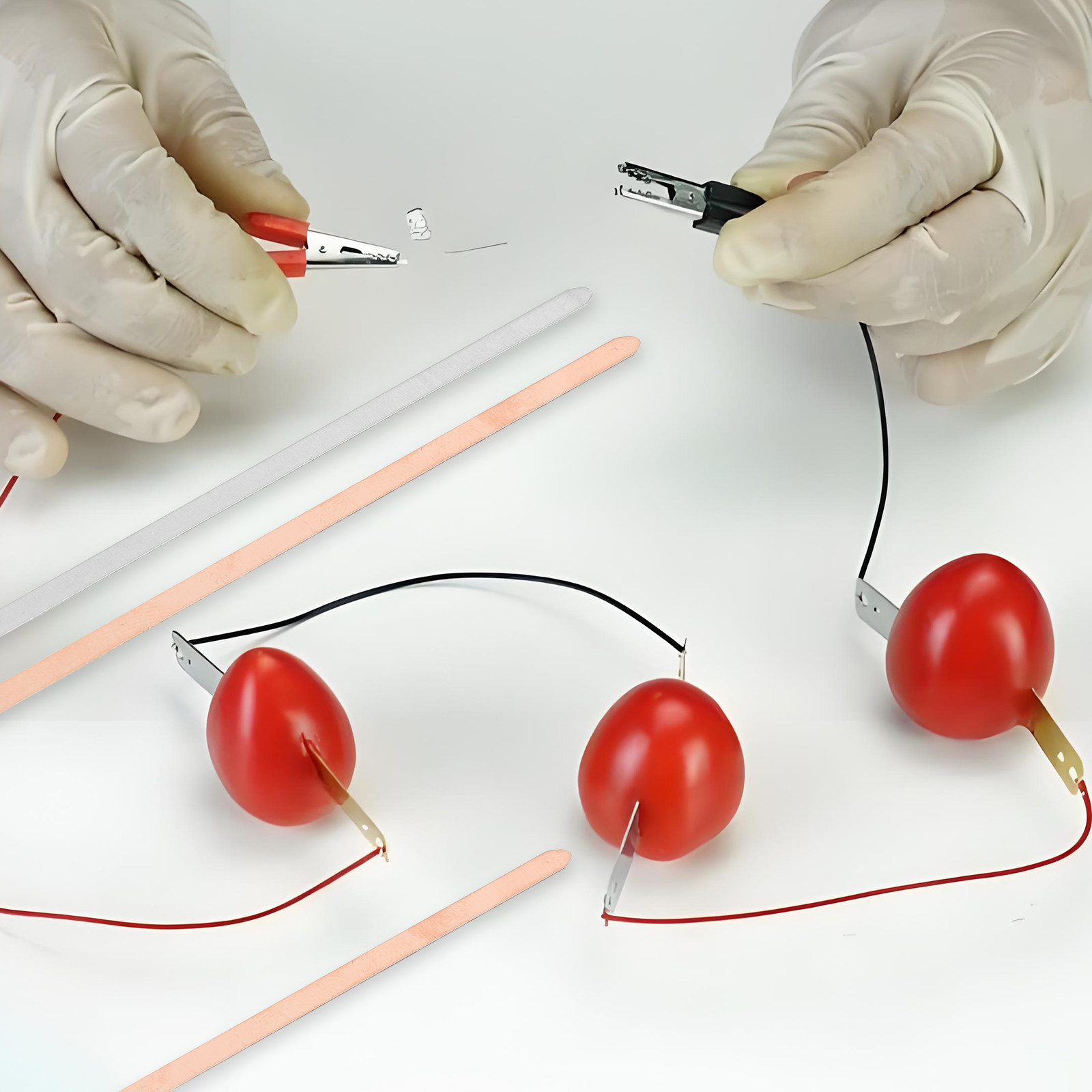 20Pcs Educational Fruit Batter - Science Project Physics 评论和价格